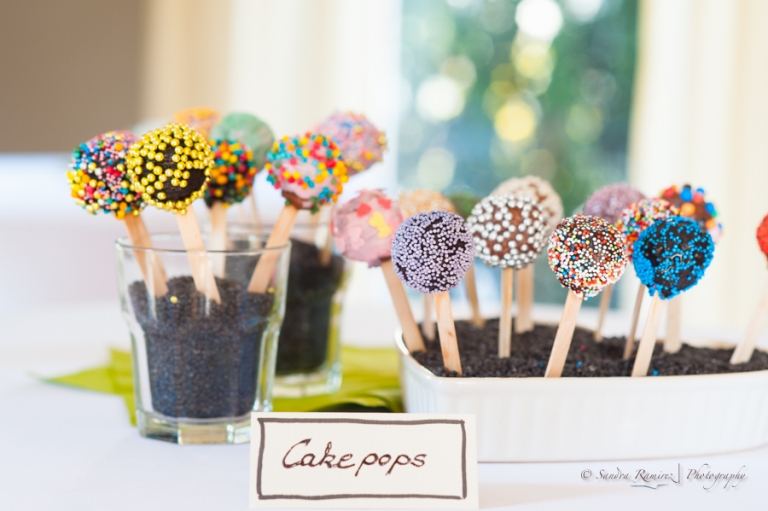 DSC 5528(pp w768 h511)