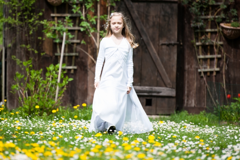 DSC 6143(pp w768 h511)