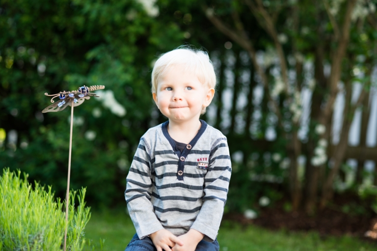 DSC 9431(pp w768 h512)